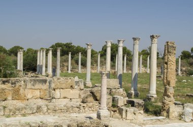 Antik kent Salamis antik spor salonunda korint sütunları, güneşli gün ve mavi gökyüzü, Mağusa, Nothern Kıbrıs