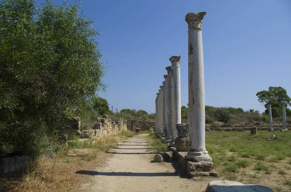 The corinthian columns in ancient gymnasium in antique town Salamis, sunny day and blue sky, Famagusta, Nothern Cyprus