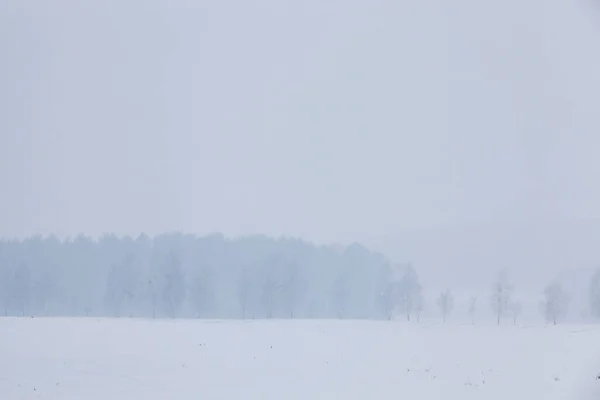 the moment of a big snowfall, because of which you can not see the trees on the horizon line, the winter landscape in frosty weather , Defocusing and traces of flying snowflakes