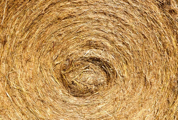 background of straw stack, twisted in the form of a spiral for storage of dry straw and use in agriculture and livestock production