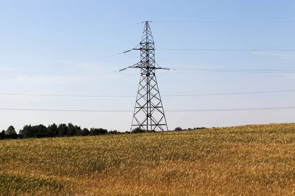 metal poles with installed metal power lines, closeup with blue sky