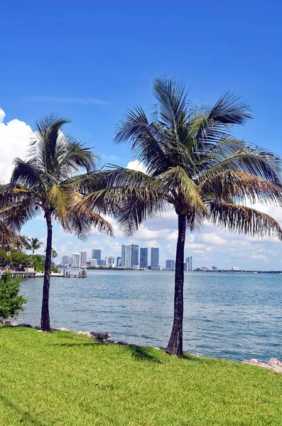 View Looking Northeast Rivoalto Venetia Causeway Intra Coastal Waterway Miami — Stock Photo, Image