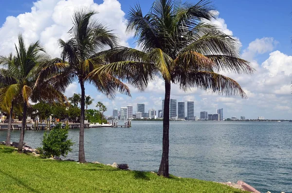 Noordwest Uitzicht Waterweg Florida Intra Coastal Skyline Van Condo Van — Stockfoto