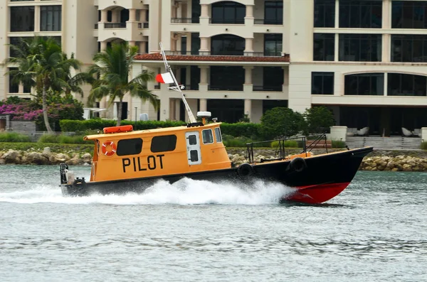 Miami Florida Based Pilot Boat Returning Port Miami Guiding Ship — Stock Photo, Image