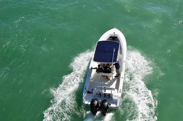 Overhead view of a sports fishing boat powered by two outboard engines