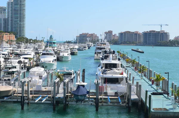 Motor Yachts Mooredin Miamibeach Marina — Stockfoto