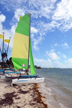 Küçük yelkenli katamaran yeşil ve açık sarı yelkenli bir anahtar Biscayne, Florida plaj üzerinde dinlenme