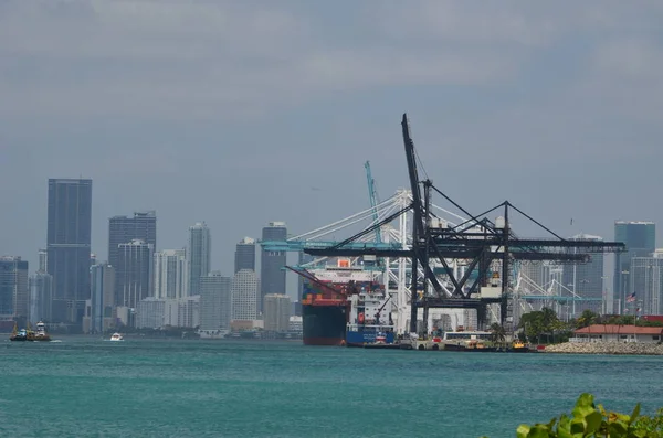 Nave Container Scarico Carico Presso Porto Miami Con Miami Skyline — Foto Stock