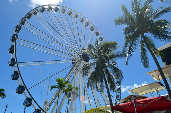 Miami Florida September 2020 Ferris Whee Bayside Marketplace Downtime Miami — Stock Photo, Image