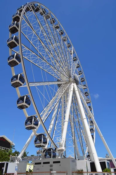 Miami Florida September 2020 Ferris Wheel Bayside Market Place Downtown — Stock Photo, Image