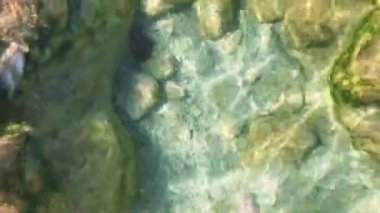 dağlarda şeffaf nehir su altında closeup büyük sarı taşlar