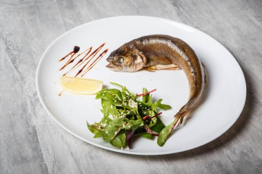 lezzetli Fırında Alabalık rukola salata, limon ve beyaz Restoran plaka gri tablo üzerinde sos ile servis