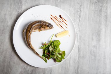 Fırında Alabalık rukola salata, limon ve beyaz Restoran plaka gri tablo üzerinde sos ile servis üstten görünüm