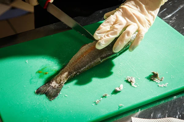 Koken Handen Handschoenen Schoon Hele Rauwe Forel Vissen Door Mes — Stockfoto