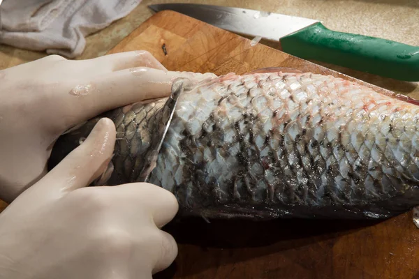 Μαγειρέψτε Χέρια Γάντια Καθαρό Ολόκληρα Ωμά Ψάρια Από Μαχαίρι Στην — Φωτογραφία Αρχείου
