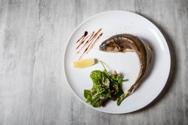 Fırında Alabalık rukola salata, limon ve beyaz Restoran plaka gri tablo üzerinde sos ile servis üstten görünüm