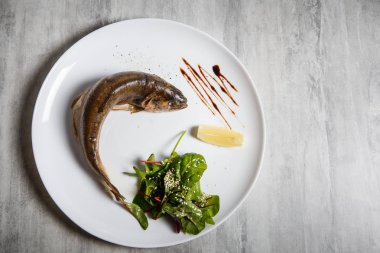 Fırında Alabalık rukola salata, limon ve beyaz Restoran plaka gri tablo üzerinde sos ile servis üstten görünüm