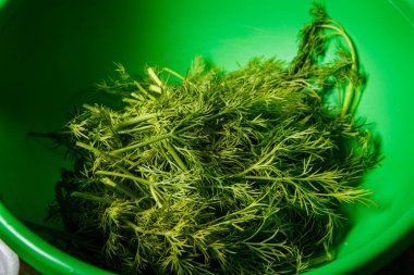 taze kokulu dereotu yeşil kapta yığılmış demet