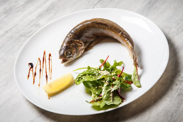 Fırında Alabalık rukola salata, limon ve beyaz Restoran plaka gri tablo üzerinde sos ile servis üstten görünüm