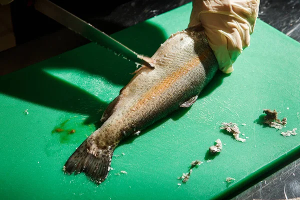 Koken Handen Handschoenen Schoon Hele Rauwe Forel Vissen Door Mes — Stockfoto