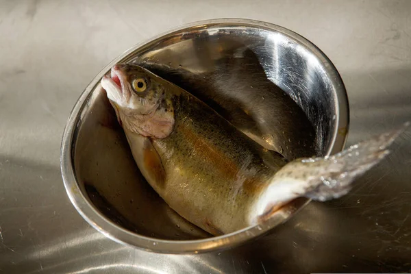 Draufsicht Auf Mit Dem Messer Geschälte Frische Forellenfische Liegen Eiserner — Stockfoto