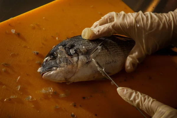 Руки Шеф Повара Крупным Планом Перчатках Чистая Свежая Рыба Дорадо — стоковое фото