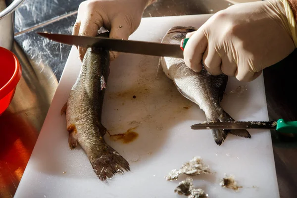 Kochhände Handschuhen Säubern Dorado Und Forellen Mit Messer Auf Weißem — Stockfoto