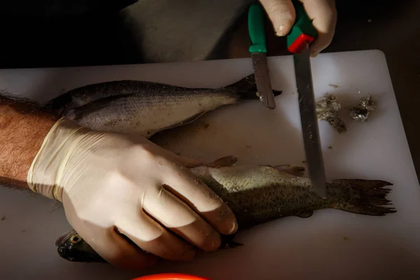 Koch putzt zwei Fische mit Messer — Stockfoto