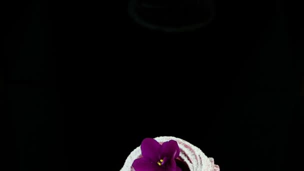 特写镜头全景下来的单一粉红色 Zephyr 饼干装饰与紫罗兰色的花服务在黑色的背景 — 图库视频影像