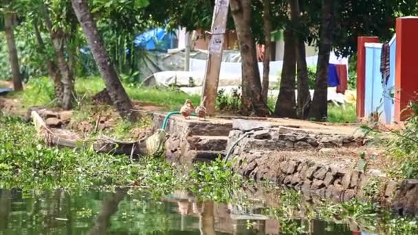 Cámara Mueve Lentamente Largo Río Tranquilo Por Casas Pueblo Ropa — Vídeos de Stock