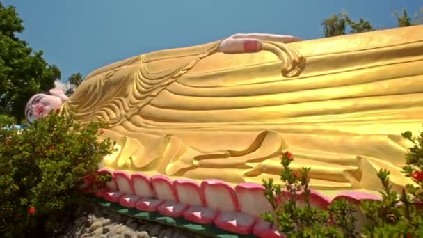 ベトナムの近代仏教寺院公園の開花木の間で足から頭に大規模な黄金の横仏を閉じます — ストック動画
