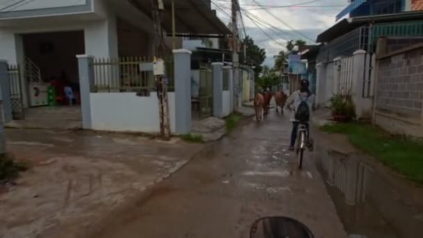 Nha Trang Khanh Hoa Vietnam Juli 2016 Camera Scooter Beweegt — Stockvideo