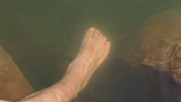 閉じ込められた男は大きな丸い石と小さな水泳魚で澄んだ川の水の中に足を入れ — ストック動画