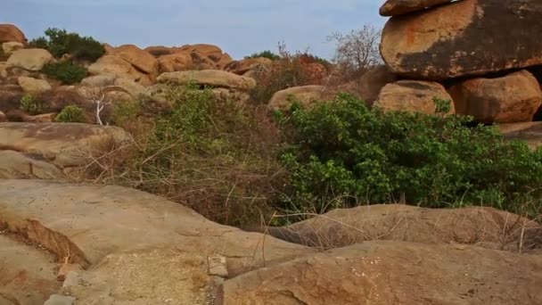 Cámara Mueve Largo Del Valle Rocoso Con Grandes Piedras Amarillas — Vídeos de Stock