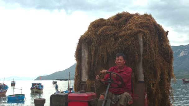 Nha Trang Vietnam 2016年6月26日 Nha Trangでの6月26日のベトナムでの海の丘の曇りの空のボートに対してビーチへの茶色の海藻ドライブの完全な閉鎖トラクター — ストック動画