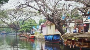 Fantastik Ağaçlar karşı River Bank tarafından Hint Turist Tekneler