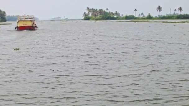 Barco turístico se aleja a lo largo de Wide River en los trópicos — Vídeo de stock