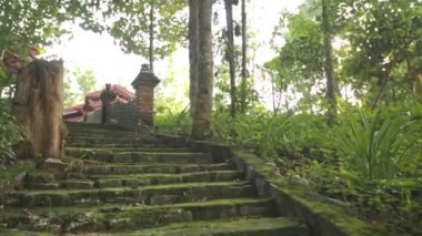 Parlak gün ışığı altında tropikal park için kamera ağaçları arasında eski kirli ıslak taş merdiven yukarı taşır