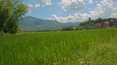 Kameralar, Vietnam 'da bulutlu mavi tepelere karşı sınırsız yeşil pirinç tarlaları boyunca ilerliyor.