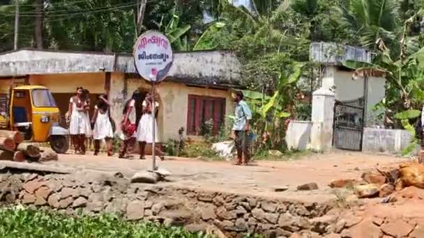Alappuzha Kerala India Února 2012 Kamera Pomalu Pohybuje Podél Klidné — Stock video