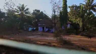 Hampi, Karnataka / Hindistan - 02 Mart 2012: Hızlı trenin penceresinden demiryolu boyunca uzanan geniş yeşil ağaçlara Hampi 'de 02 Mart' ta açık mavi gökyüzüne bakın