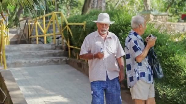 Twee Kaukasische Grijze Oude Mannen Toeristen Lopen Tropische Park Glimlach — Stockvideo