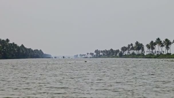 印度棕榈河岸与蓝天之间宽至地平线的全景 — 图库视频影像