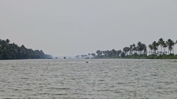 Panorama Grande Rivière Longue Jusqu Horizon Entre Les Rives Palmiers — Video