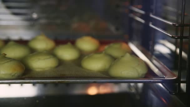 Close-up panorama de pequenos biscoitos de creme choux assar em paletes de metal no forno — Vídeo de Stock