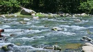 Dağ nehrinin hızlı akışında yüzen güçlü adama yavaş yavaş panorama