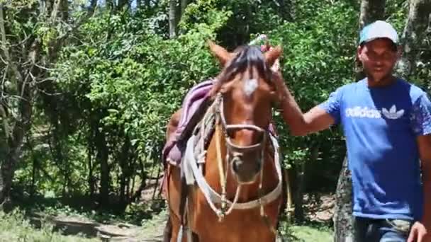Přiblížit a zaměřit se na dominikánské lidi držící osedlaného hnědého koně — Stock video