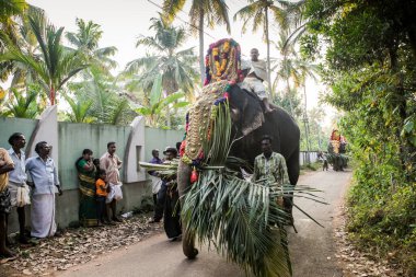 Kottayam, Kerala, INDIA - 25 Ocak 2012: Hint halkı 25 Ocak 'ta Kottayam' da geleneksel festivalde köyden köye yürüyen süslü filleri izliyor