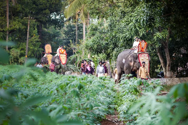 Kottayam Kerala Ινδια Ιανουαριου 2012 Ινδιάνοι Διακοσμημένους Ελέφαντες Που Περπατούν — Φωτογραφία Αρχείου