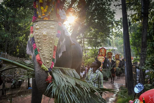 Kottayam Kerala India Styczeń 2012 Zbliżenie Dekorowane Słoń Chodzenie Przez — Zdjęcie stockowe